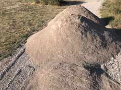 granite crusher fines barn road in Elizabeth, colorado.