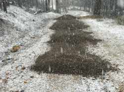 class 6 granite roadbase, 12 tons of class 6 granite roadbase spread by a truck in the snow, down a hill in conifer.