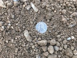 a photo of a pile of screened fill dirt with a quarter for scale.