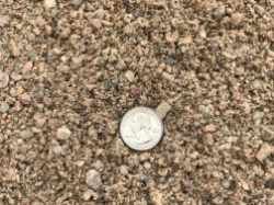 a close-shot of quarter on top of washed concrete sand to show size